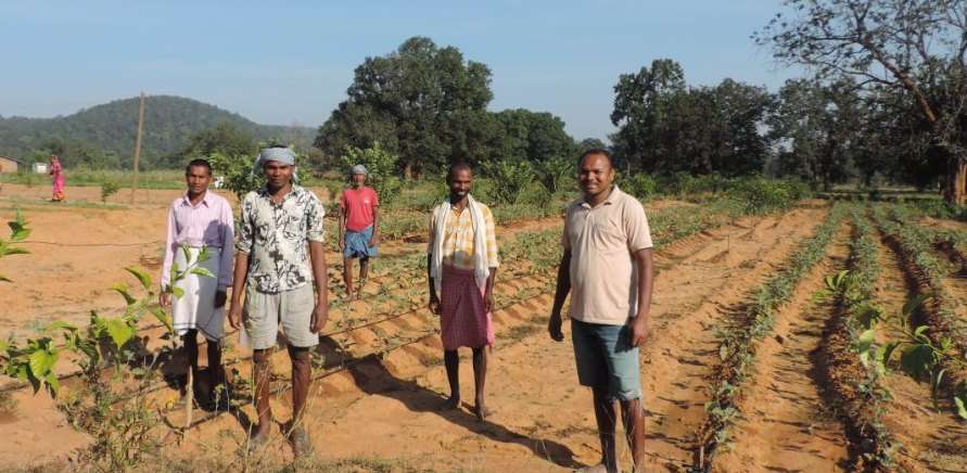 When the group of farmers made the suggestion their way