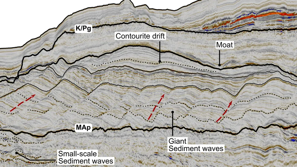 The "mud waves" discovered off the coast of Africa, under the Atlantic Ocean, are hundreds of feet high and almost a mile long. (Image credit: courtesy of D Duarte et al/Heriot-Watt University)