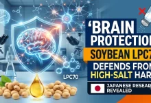 Brain, Protection, Soybean, सोयाबीन