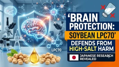 Brain, Protection, Soybean, सोयाबीन